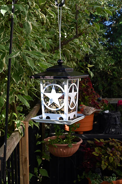 Pine Bush - Star Bin Feeder