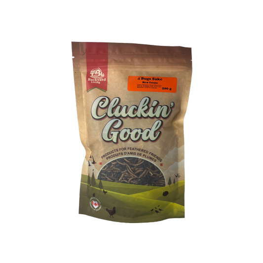 NEW!!! Cluckin' Good - 4 Bugs Sake