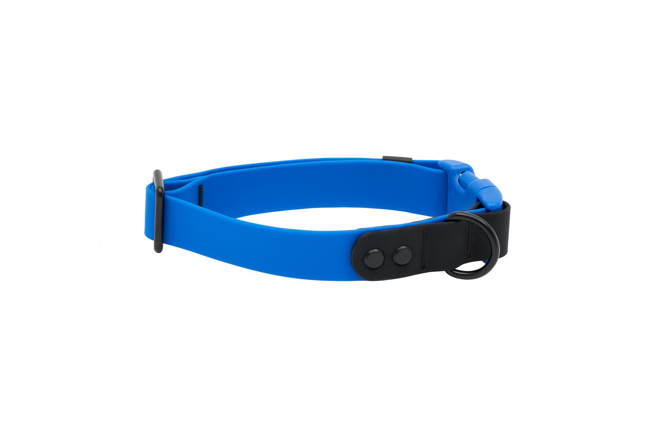 RC Pets - Waterproof Collar