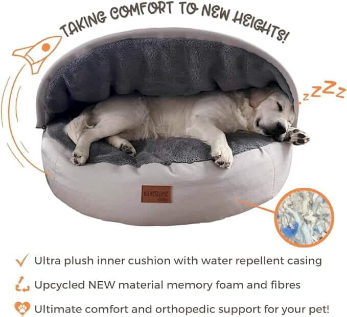 Peek-A-Boo Comfy Bed - Assorted Sizes