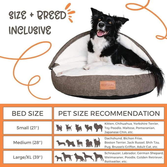 Peek-A-Boo Comfy Bed - Assorted Sizes