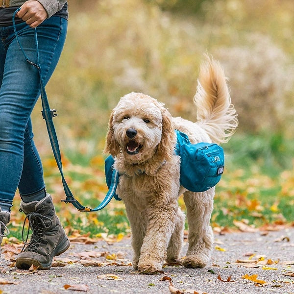 Kurgo - RSG Pack Pannier - Harness Accessory - Coastal Blue