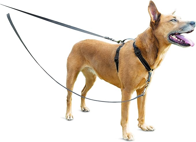 Petsafe - Anti-Pul Dog Leash