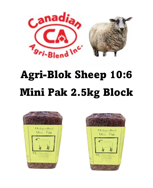 Agri-Blok - Sheep 10:6 - Mini-Pak - 2.5 Kg