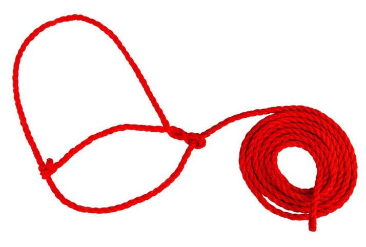 Adjustable Rope Halter for Baby Calves & Sheep