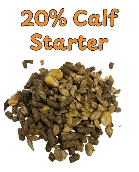 CJ - 20% Calf Starter Rolled - 20kg - Textured