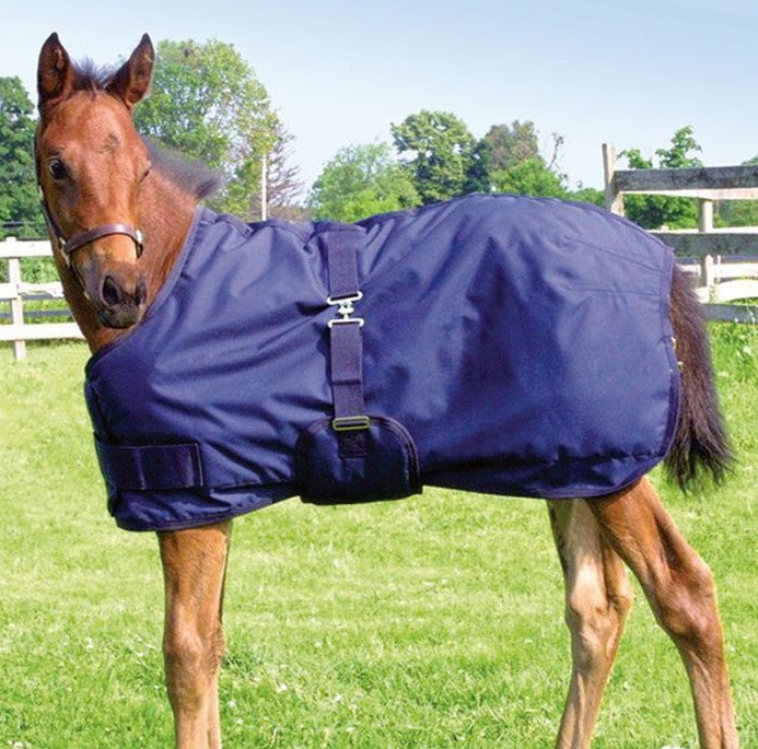 Canadian Horsewear - Mini & Foal Winter Blanket
