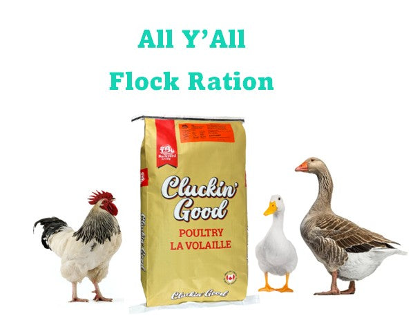 Cluckin' Good - All Y'All Flock Ration - 20kg - 18.5%