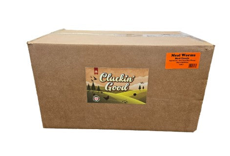 Cluckin' Good - Chicken Treats - Mealworms