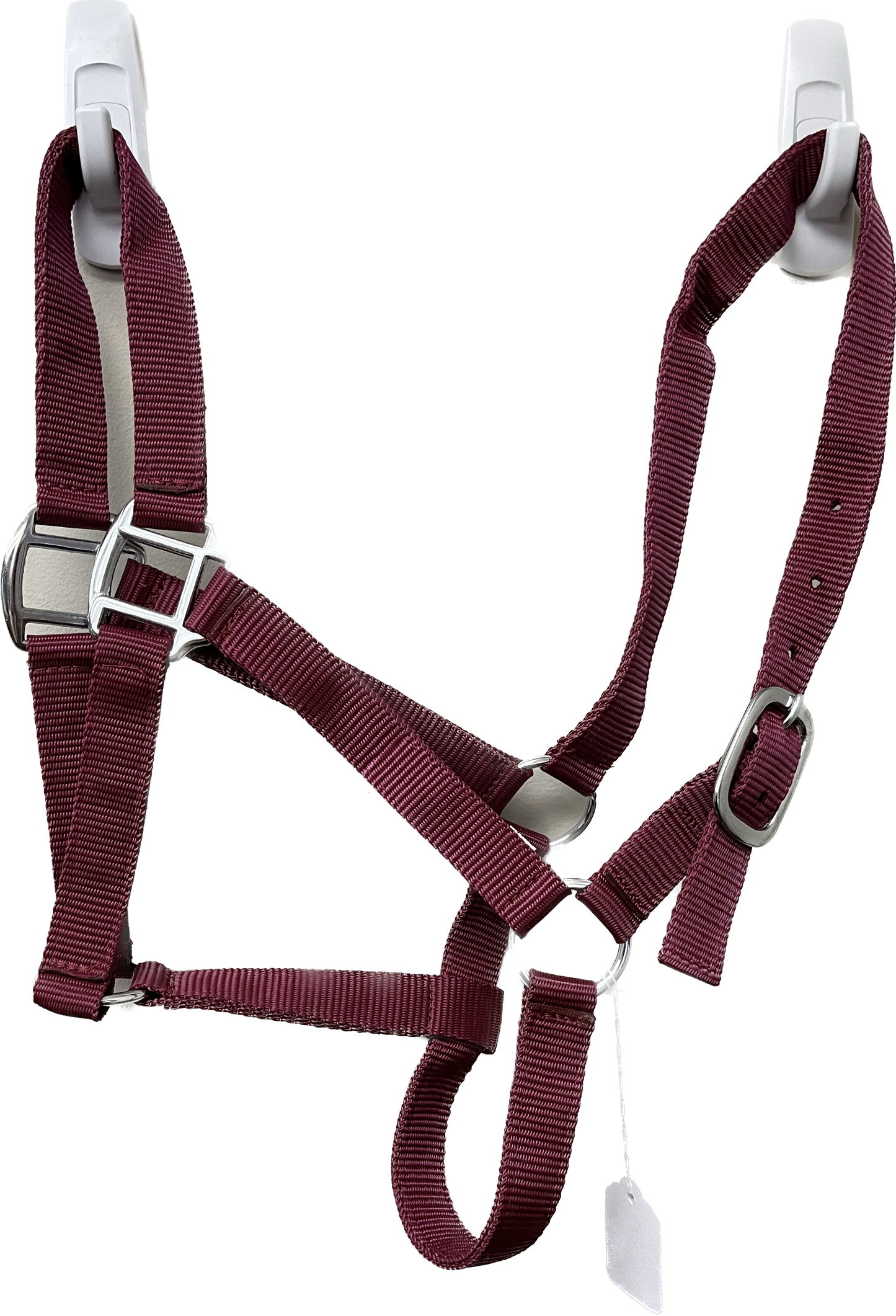 True North - Economy Nylon Horse Halter - Full