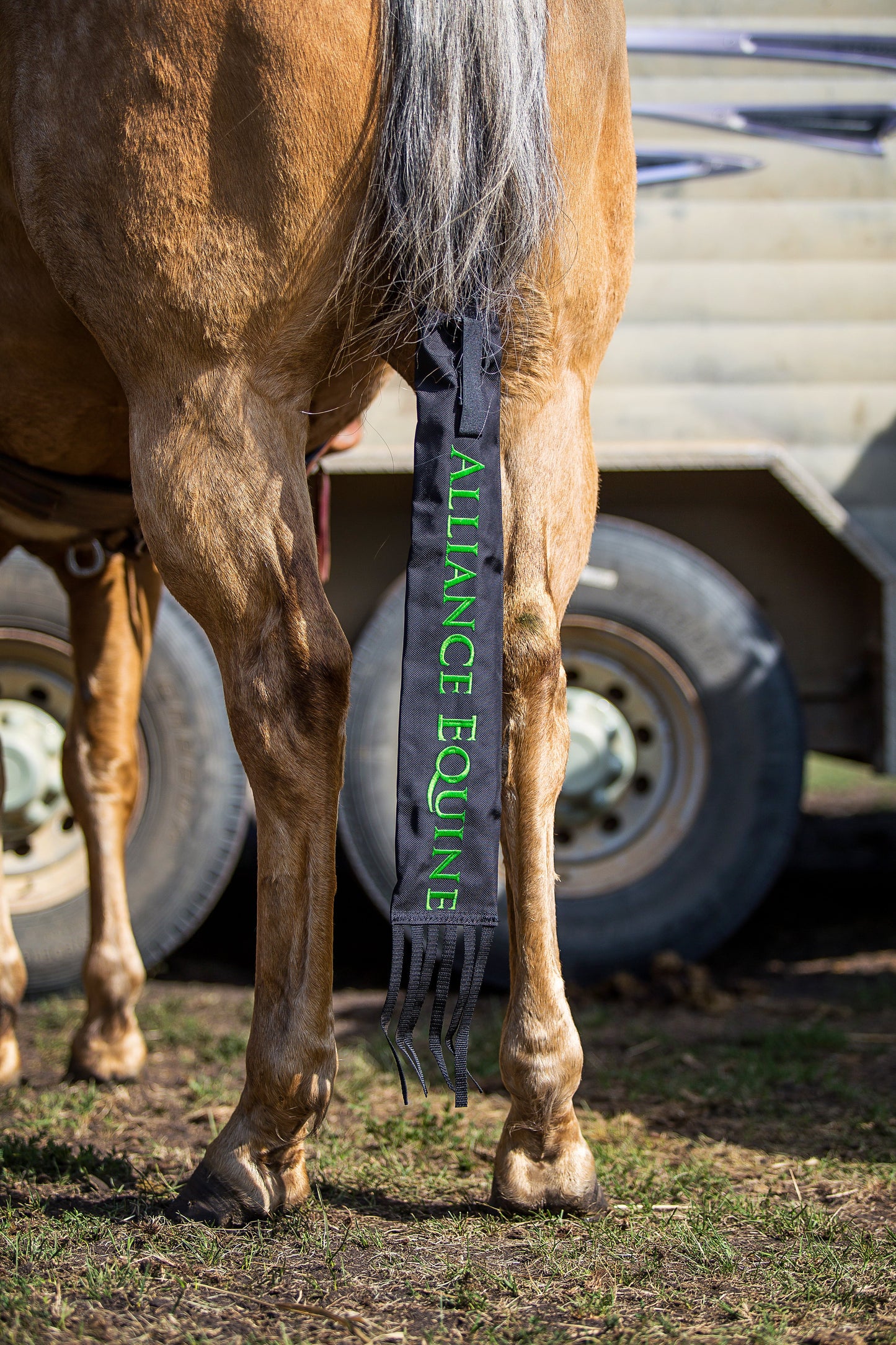 Alliance Eqiune - Tail Bags