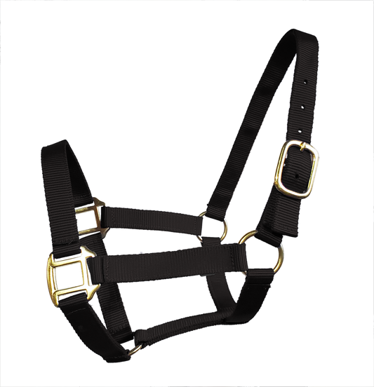 True North - Economy Nylon Horse Halter - Draft