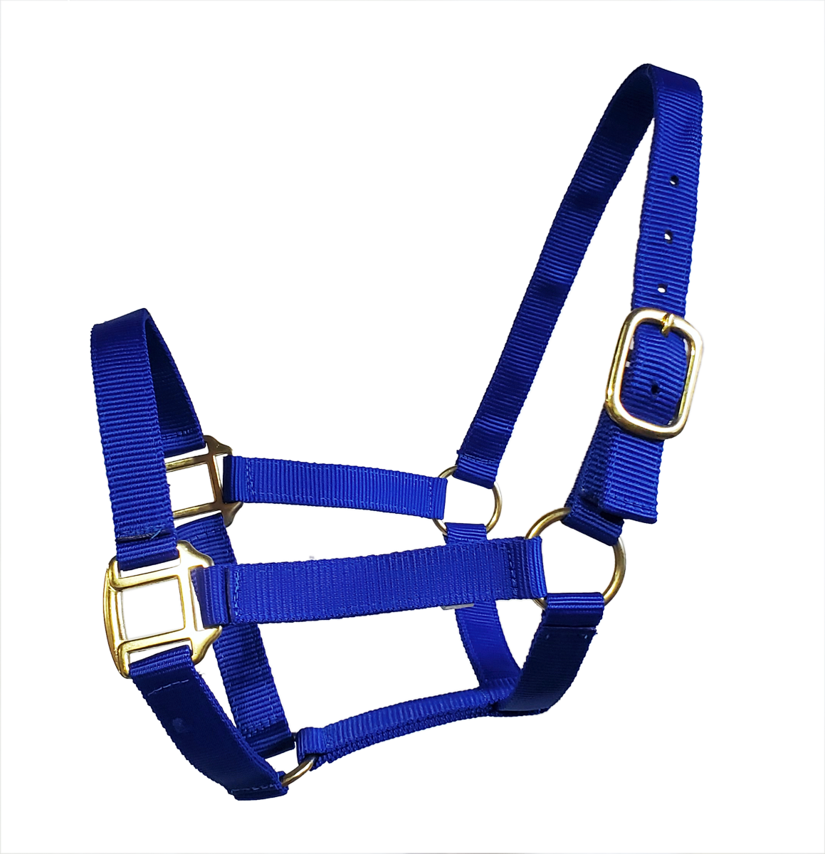 True North - Economy Nylon Horse Halter - Draft