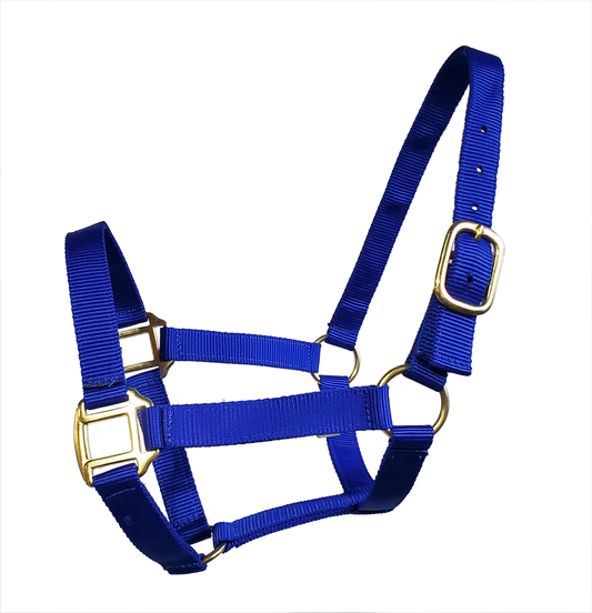 True North - Economy Nylon Horse Halter - Cob