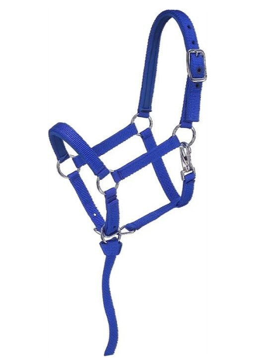 GR - Adjustable Halter - Weanling Foal or Average Miniature Horse