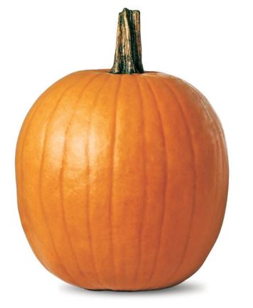 Fresh - Locally Grown - Pumpkin