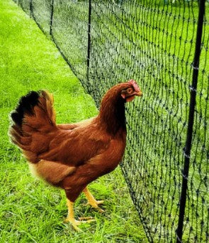RentACoop - Non-Electric Poultry Boundary Fencing