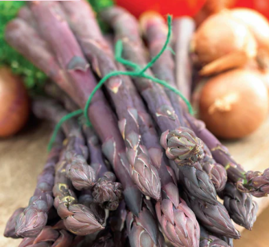 Rizomes - Asparagus