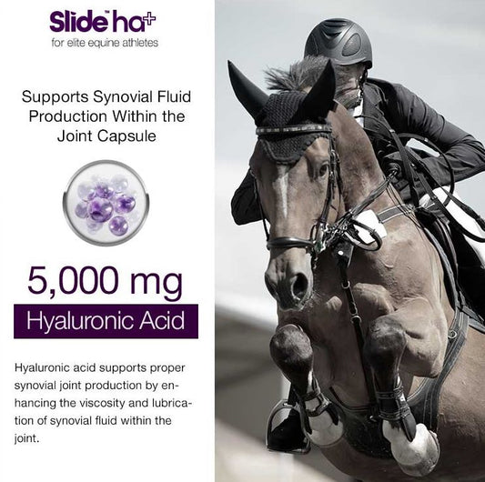 Slide - HA Advanced Joint Luberication