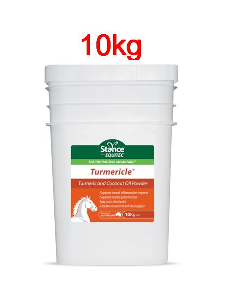 Stance - Turmericle ** CLEARANCE SALE**