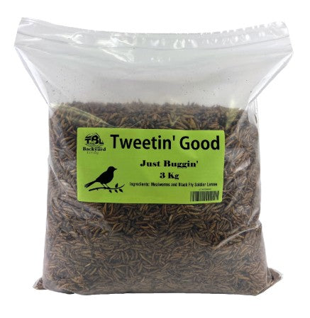 Tweetin' Good - Early Bird - Just Buggin'