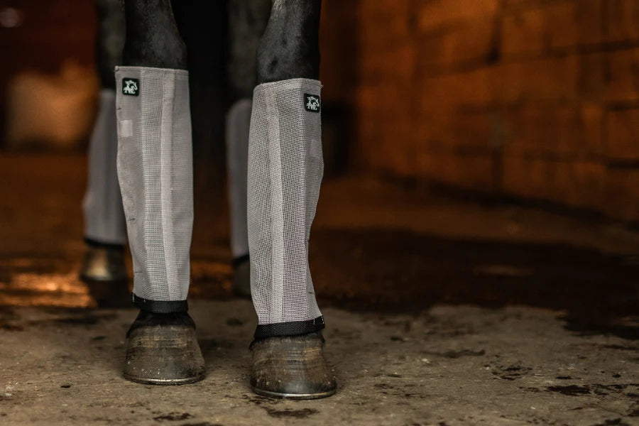 Buzz Off Fly - Boots