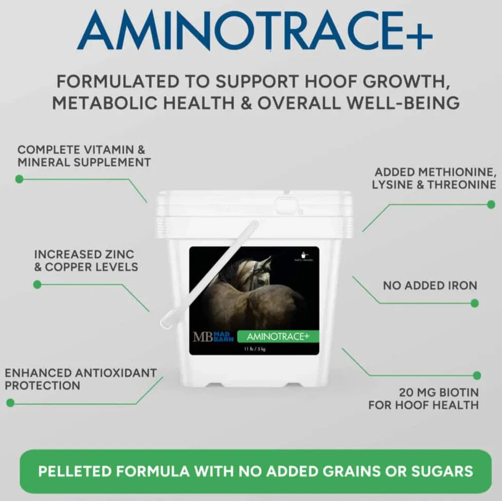 Mad Barn - Amino Trace+ - 5KG