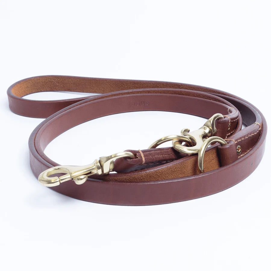 Angel - Multi-Function Dog Leash