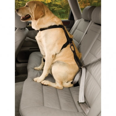 Kurgo - Seat Belt Tether with Carabineer