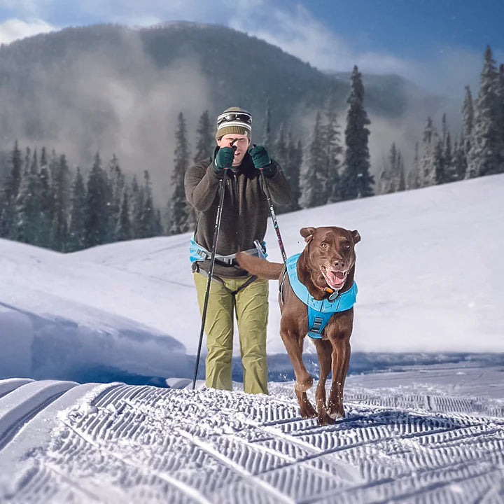 Kurgo - Joring Dog Harness Long Hauler