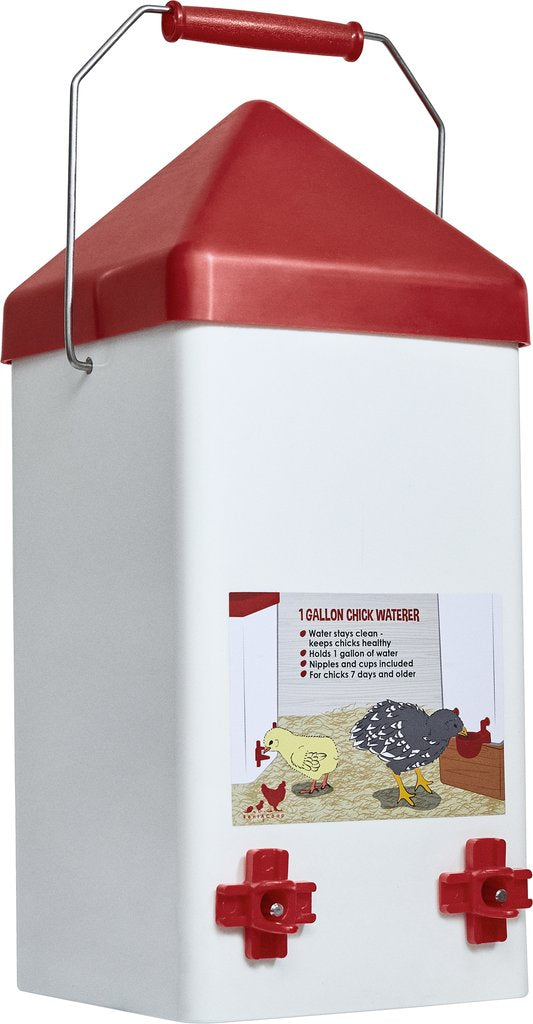 Chick Waterer - Small - Nipples and Cups Included