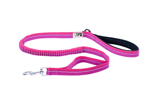 RC Pets - Bungee Traffic Leash