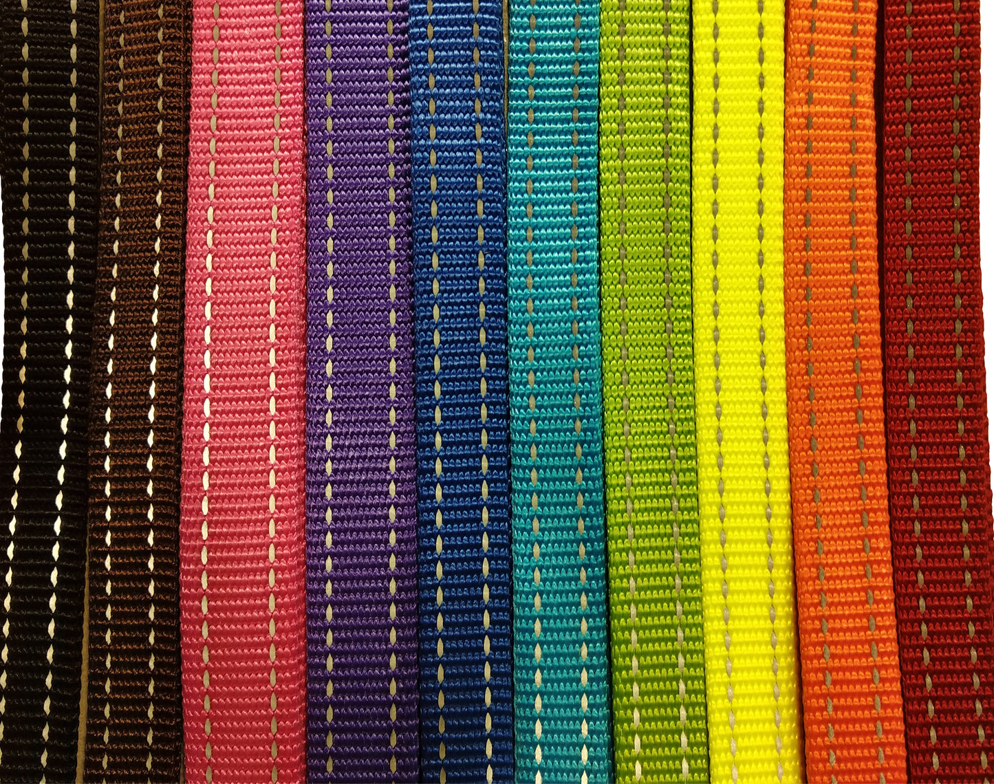 Dog Leash W/ Reflective Stripe