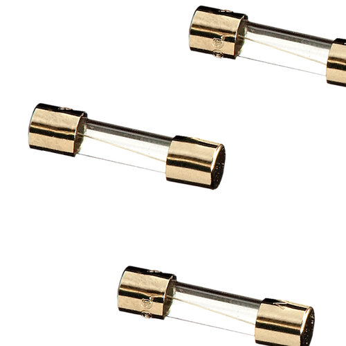 Traeger - Replacement Parts - 5 amp Replacement Fuse