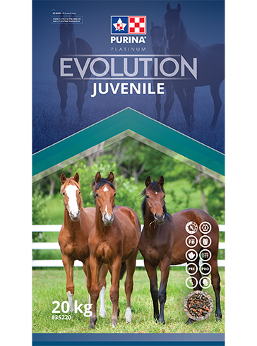Purina - Evolution Juvenile - 20kg