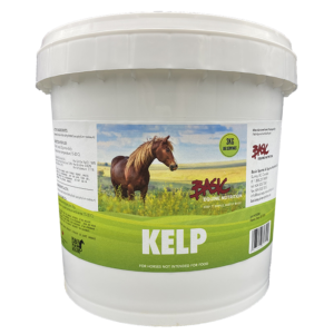 Kelp Granules