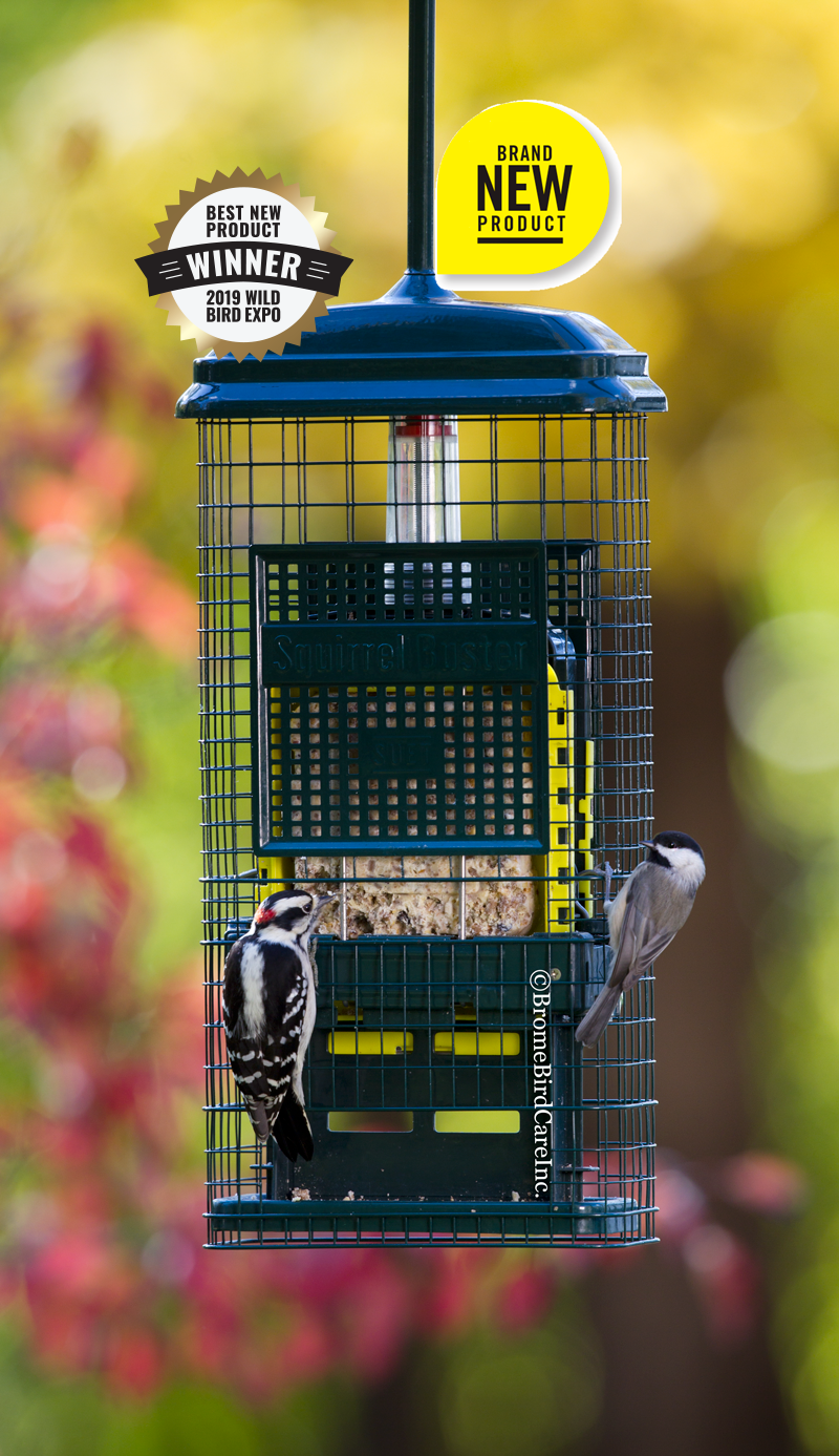 Brome Squirrel Buster-Suet Feeder