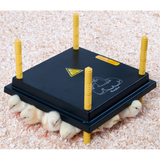 Brooder Plate