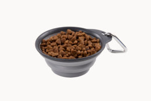 Dexas Collapsible Travel Cup