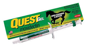 Quest Gel - Horse Dewormer - 11.5ml