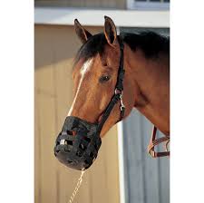 True North - Grazing Muzzle - BreakAway - Large Horse