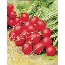 Fothergill's Seeds - Vegetable Tape