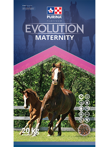 Purina - Evolution Maternity - 20kg