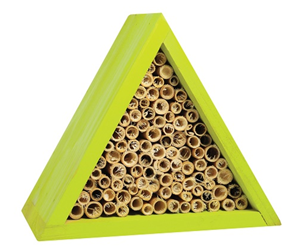 Pinebush - Wildlife Habitat