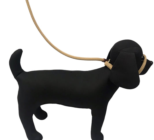 Burwash - Dog Leash (Slip Lead)