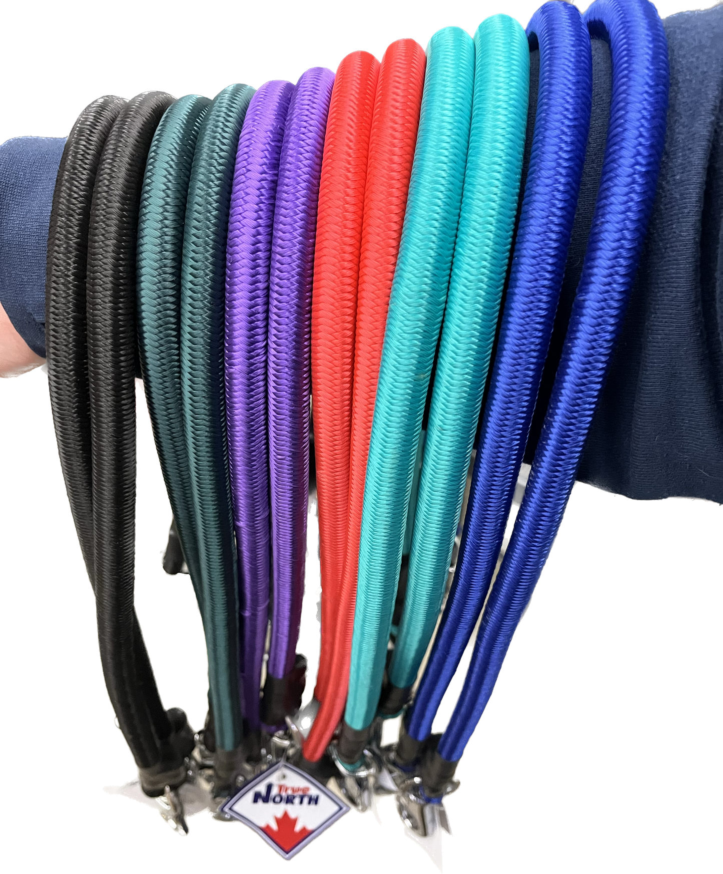 True North - Bungee Cord Trailer Tie - 24"