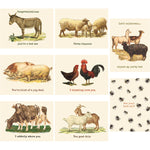 Note Card Set- Animal Card Set