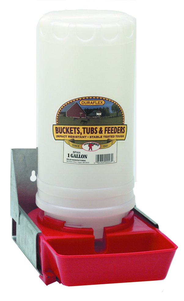 Little Giant - Piglet Waterer - 1 Gallon
