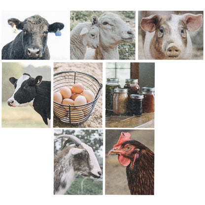 Note Card Set- Animal Card Set