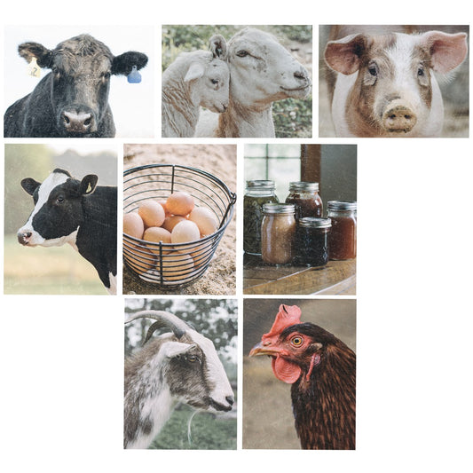Note Card Set- Animal Card Set